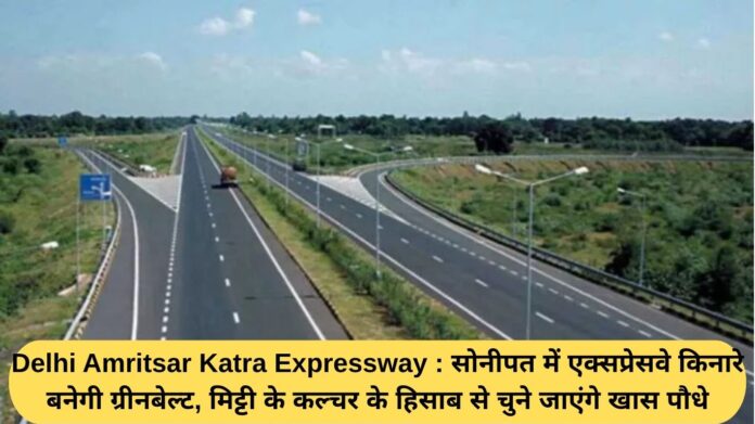 Delhi Amritsar Katra Expressway: A greenbelt will be built along the expressway in Sonipat, with specific plants selected based on the soil culture.