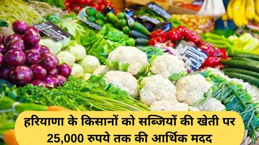 Haryana Vegetable Subsidy: Financial assistance of up to Rs 25,000 to farmers of Haryana for vegetable cultivation