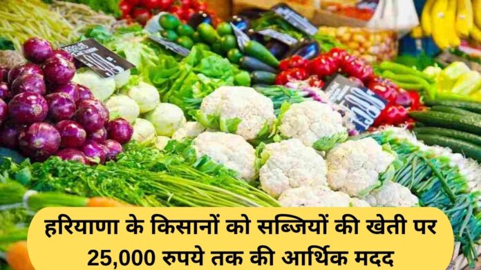 Haryana Vegetable Subsidy: Financial assistance of up to Rs 25,000 to farmers of Haryana for vegetable cultivation