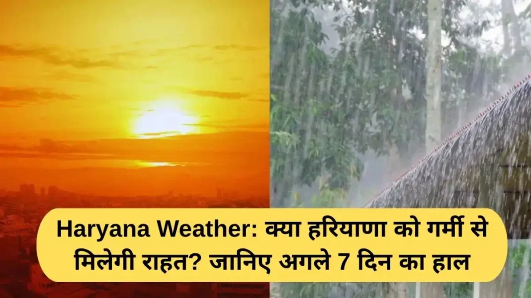 Haryana Weather: Will Haryana get relief from the heat? Find out what the weather will be like for the next seven days.