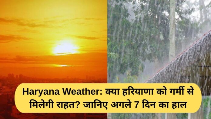 Haryana Weather: Will Haryana get relief from the heat? Find out what the weather will be like for the next seven days.