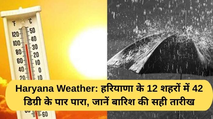 Haryana Weather: Mercury crosses 42 degrees in 12 cities of Haryana, know the exact date of rain