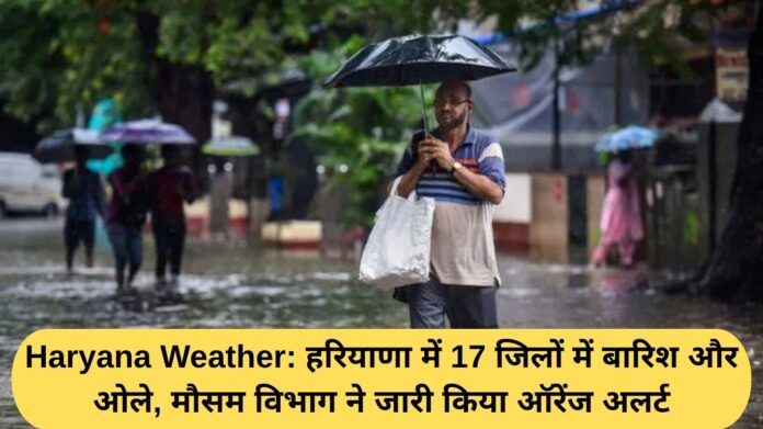Haryana Weather: Rain and hail in 17 districts of Haryana, Meteorological Department issued Orange alert