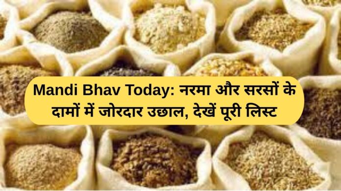 Mandi Bhav Today: Sharp jump in cotton and mustard prices, see full list