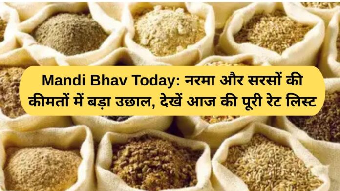 Mandi Bhav Today: Big jump in cotton and mustard prices, see today's complete rate list