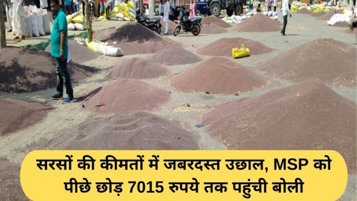 Mustard prices in Haryana: Mustard prices surge, bids surpass MSP to reach Rs 7,015