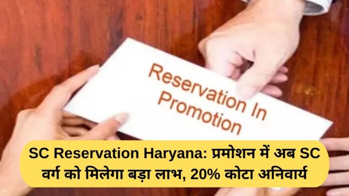 SC Reservation Haryana: Now SC category will get big benefit in promotion, 20% quota mandatory