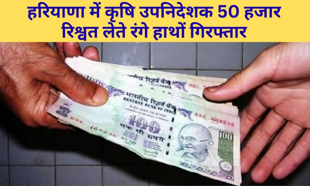 Sonipat ACB Raid Haryana Deputy Director of Agriculture Arrested Red-Handed Bribe