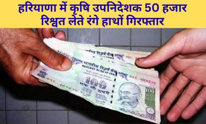 Sonipat ACB Raid Haryana Deputy Director of Agriculture Arrested Red-Handed Bribe