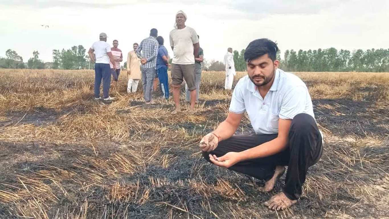 Jind Fire Accident: Fire in Jind district burns 3 acres of wheat crop, brought under control after hard work