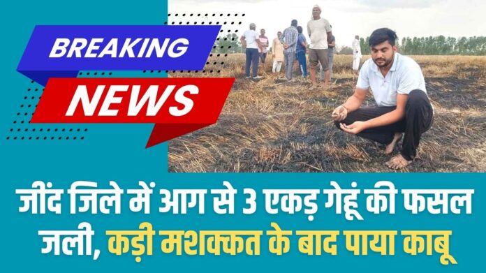 Jind Fire Accident: Fire in Jind district burns 3 acres of wheat crop, brought under control after hard work