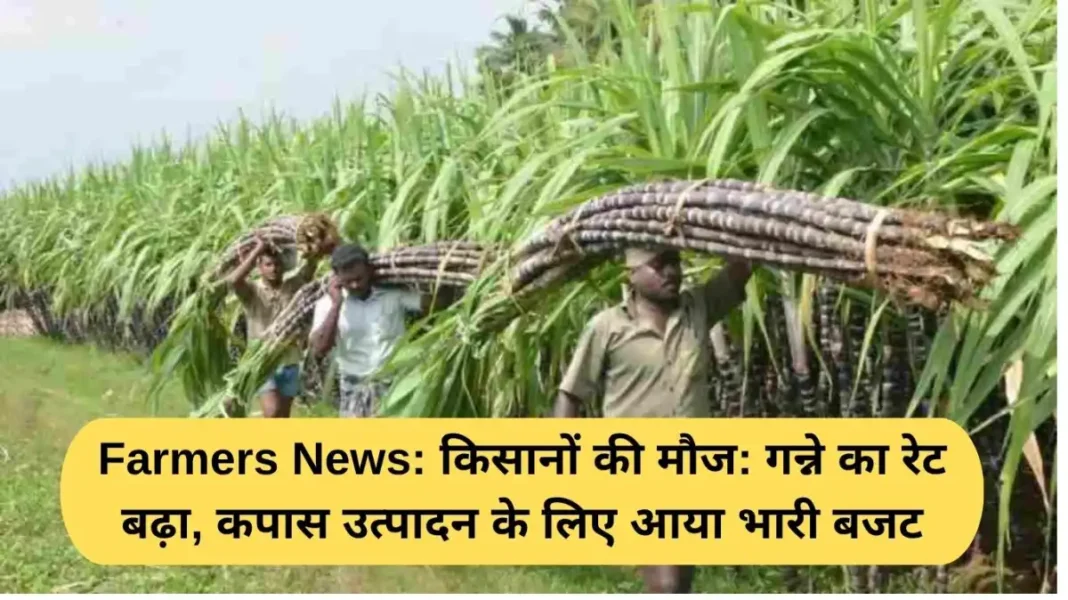 Farmers News Farmers News: Farmers' joy: Sugarcane rates rise, huge budget allocated for cotton production