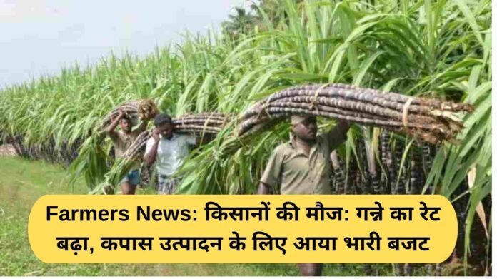 Farmers News: Farmers' joy: Sugarcane rates rise, huge budget allocated for cotton production