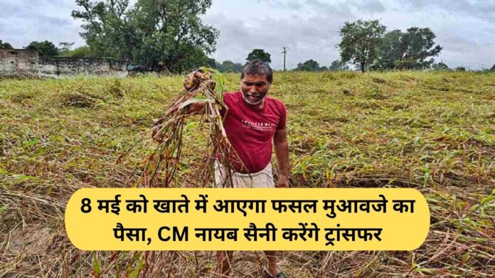 Haryana Farmer Compensation: Crop compensation funds to be credited to accounts on May 8; CM Nayab Saini to transfer the amount.