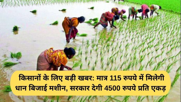 Haryana Paddy Subsidy: Big news for farmers: Paddy sowing machine will be available for just 115, the government will pay 4,500 per acre.
