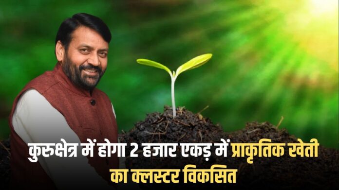 Haryana Natural Agriculture: A cluster of natural farming will be developed in 2,000 acres in Kurukshetra.