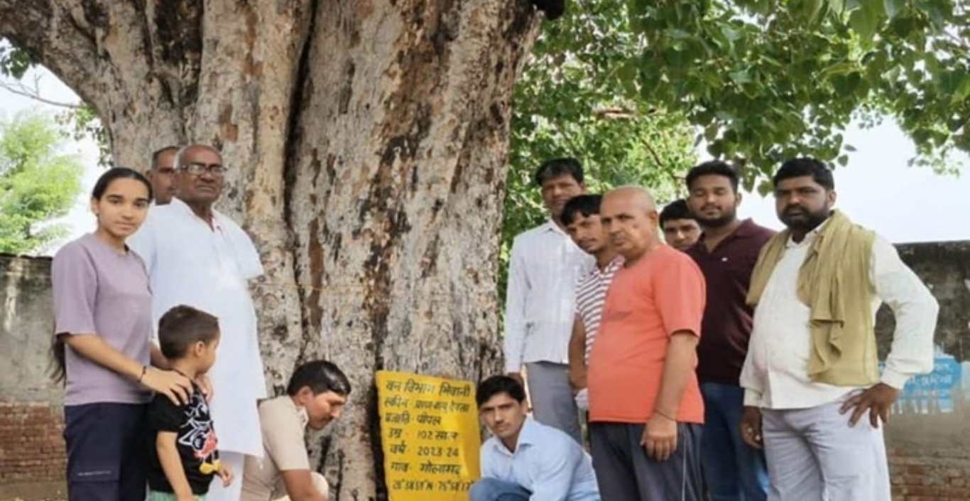 Haryana Government Scheme: What is the Holy Garden Scheme, know about the important scheme of the government