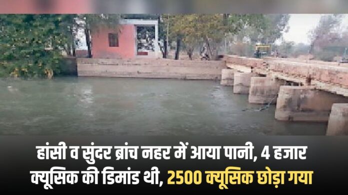 Haryana news: Water arrived in Hansi and Sunder Branch Canal, demand was for 4,000 cusecs, 2,500 cusecs were released.