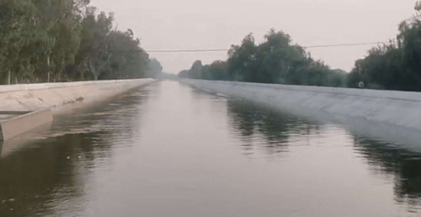 Haryana news: Water arrived in Hansi and Sunder Branch Canal, demand was for 4,000 cusecs, 2,500 cusecs were released.