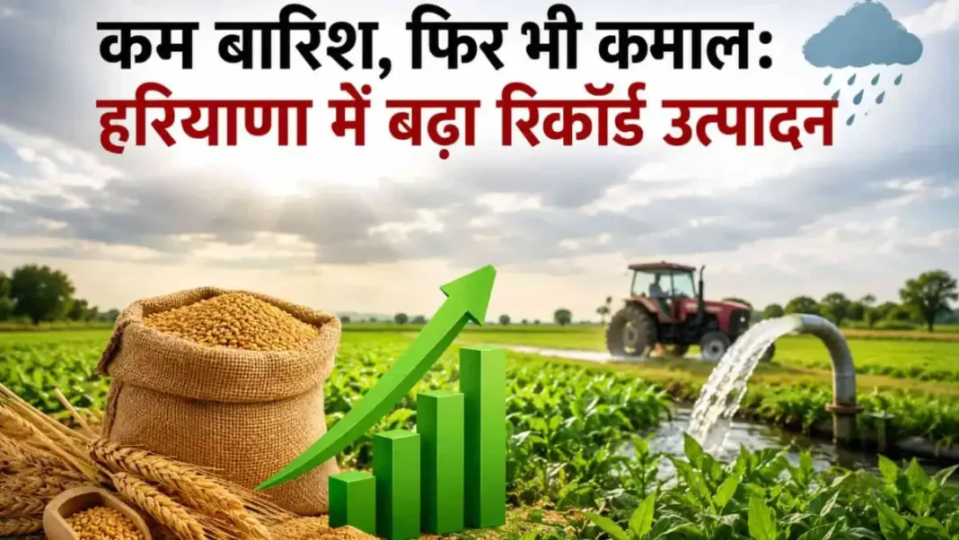 Haryana Weather Rainfall was deficient yielded a record breaking harvest