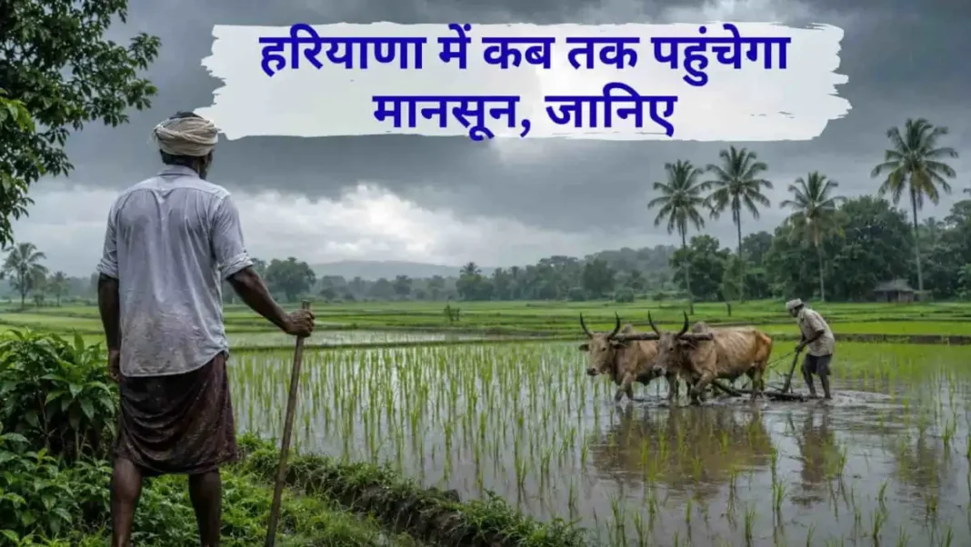Monsoon Update When Will It Arrive in Haryana